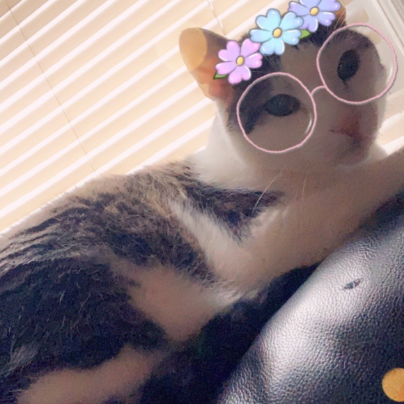 Meet your Posher, Danielle - Picture 3 of 3